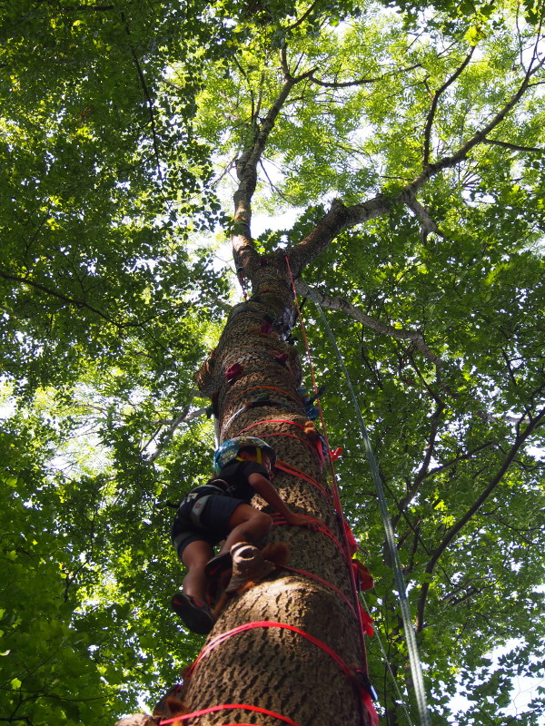 Arborcamp 2013: Monkey Grip Baum