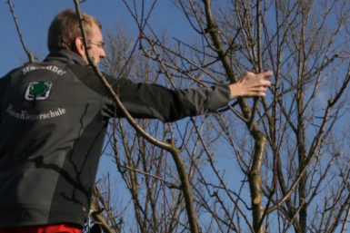 Obstbaumschnitt mit Johannes Bilharz