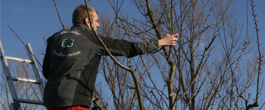 Obstbaumschnitt mit Johannes Bilharz