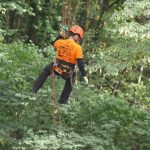 Deutsche Baumklettermeisterschaft 2015: Ronny Epple