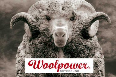 Woolpower