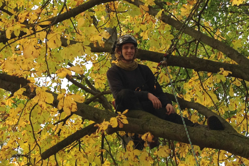 Deutschlandstipendium: Pascal Wörmann im Baum