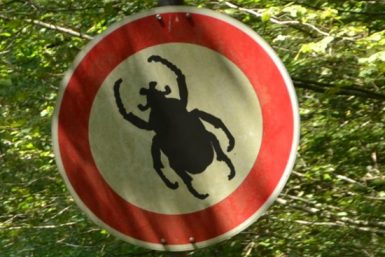 Rundes Verbotsschild mit symbolisierter Zecke