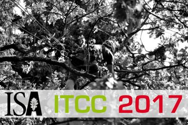 ITCC 2017: Ergebnisse