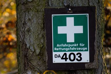 Schild mit weißen Kreuz auf grünem Grund an einem Baum