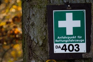 Schild mit weißen Kreuz auf grünem Grund an einem Baum