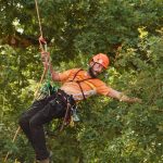 Baumpfleger an einem Kletterseil streckt sich nach einem Ast