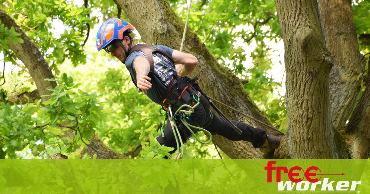 Freeworker Blog » Baltic States Tree Climbing Championship