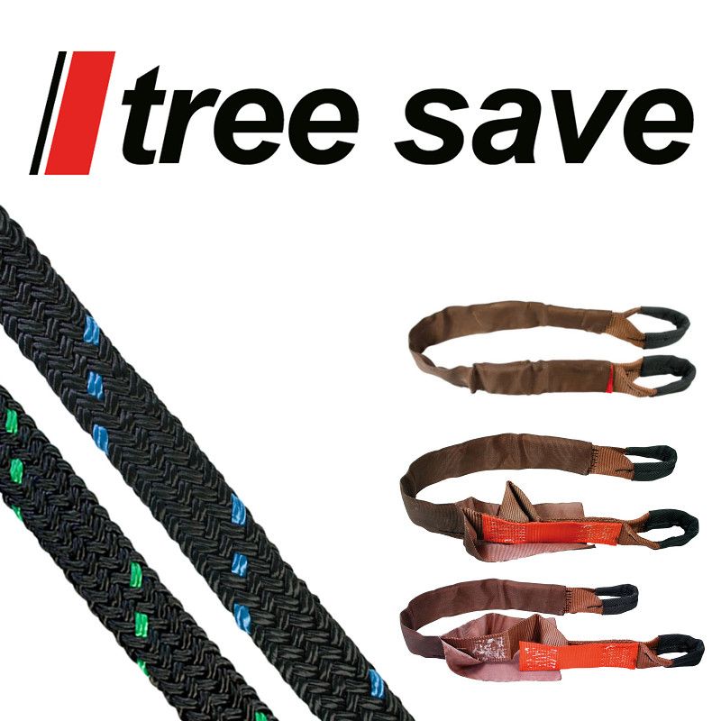 Tree save tree bracing