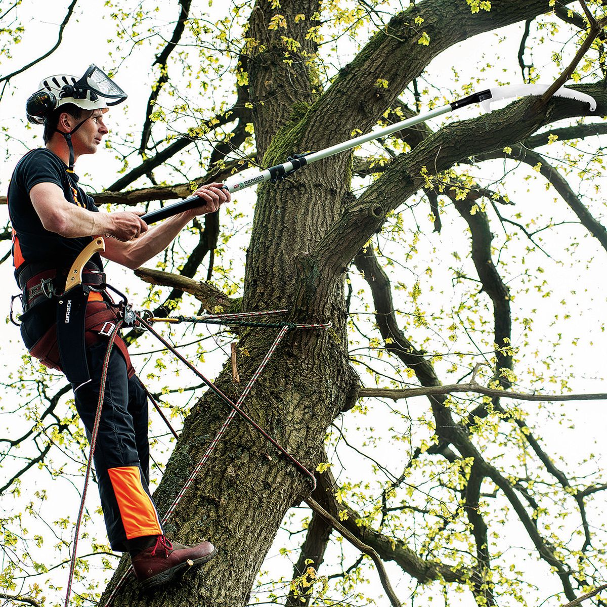 Arborist with pole saw