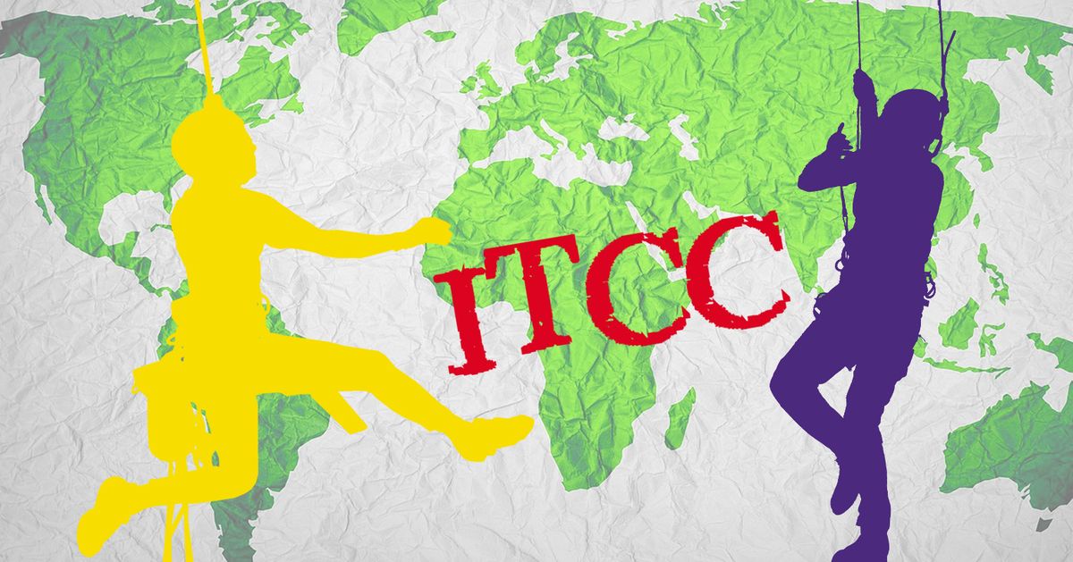 Freeworker-Blog » International Tree Climbing Championship