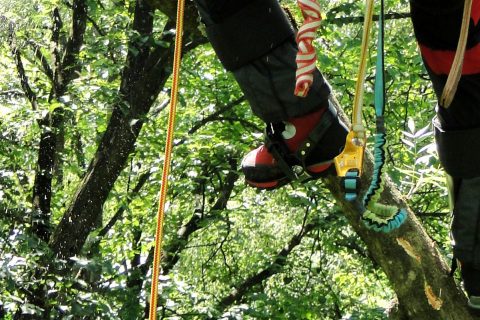 Permalink to: Chainsaw protection shoes in tree care