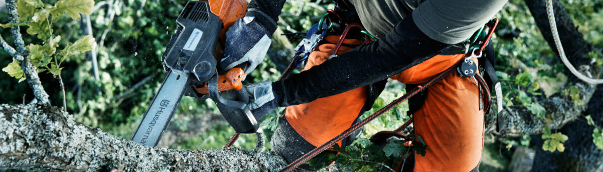 Les tronçonneuses Husqvarna pour les soins aux arbres