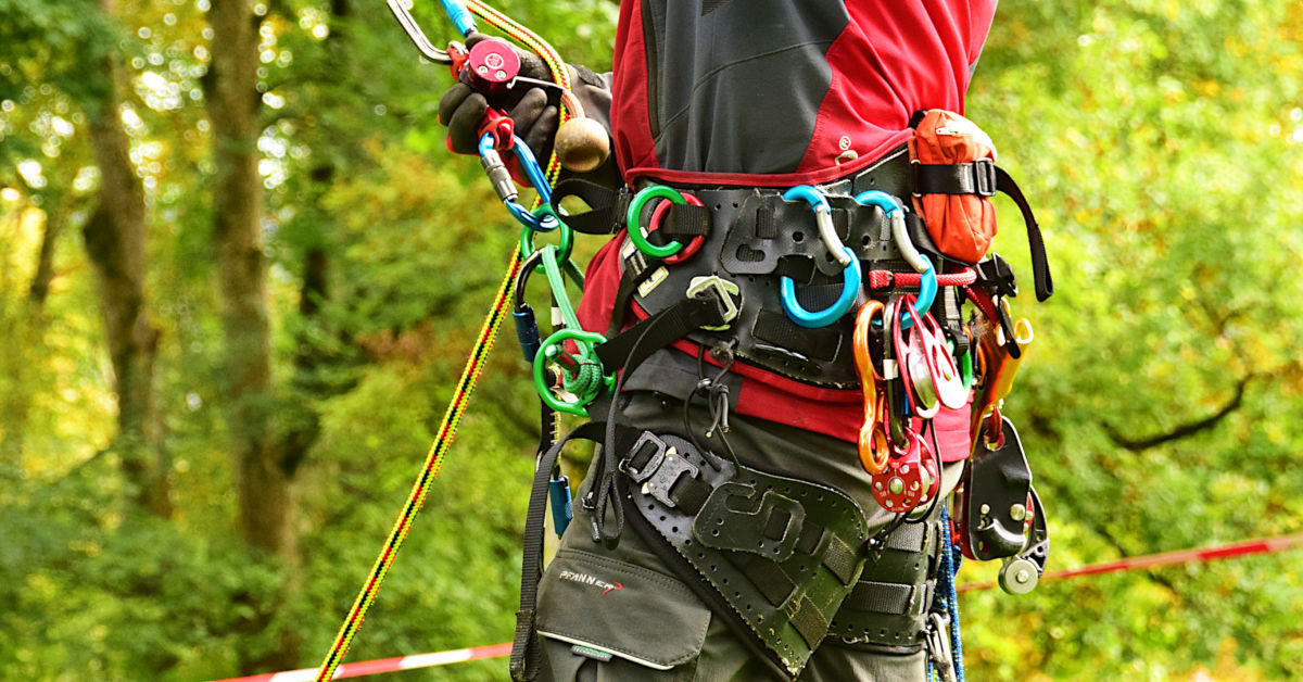 Équipements de protection individuelle d'élagage