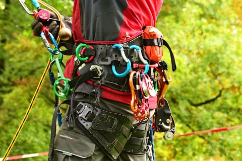 Permalink to: Tree climbing harness: Which harness fits me?