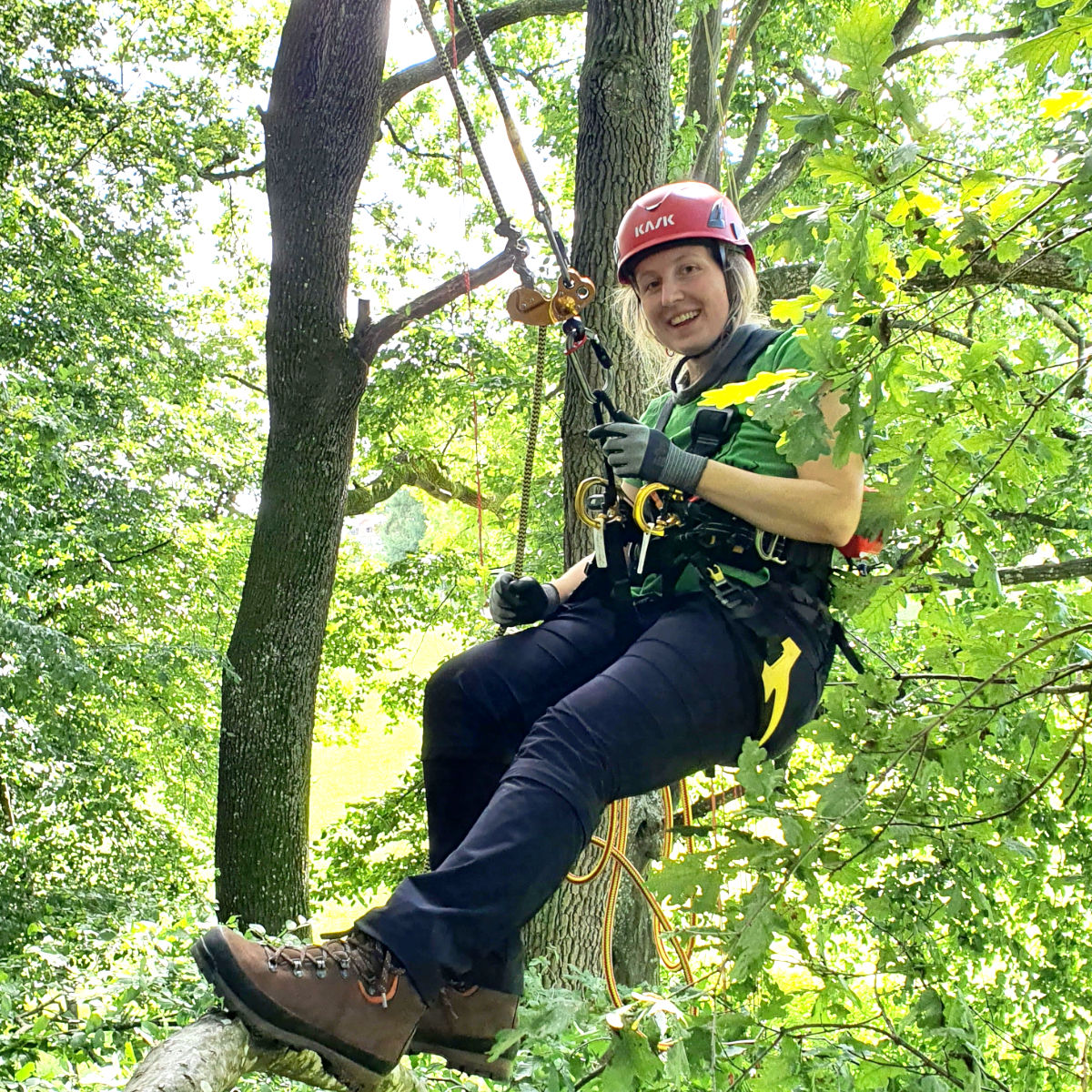 Tree climber with ZigZag