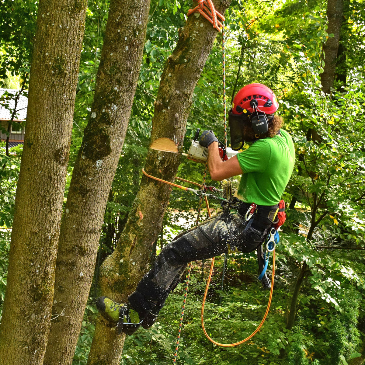 Schnittschutzschuhe im Einsatz in der Baumpflege