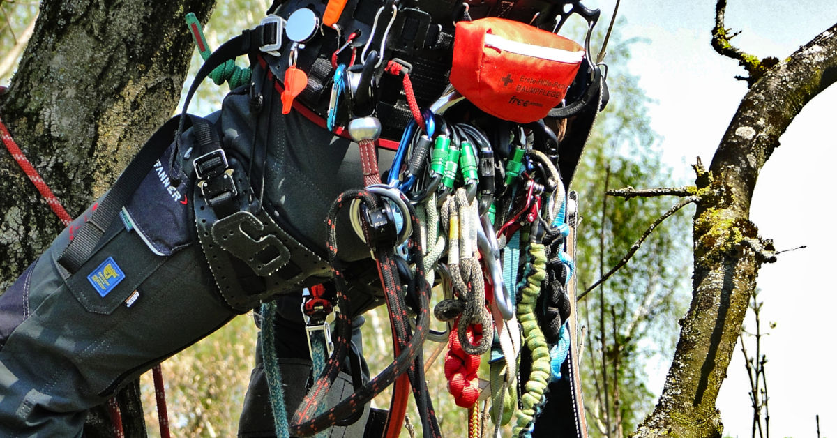 Freeworker Blog » Carabiners for tree care, tree climbing and rigging