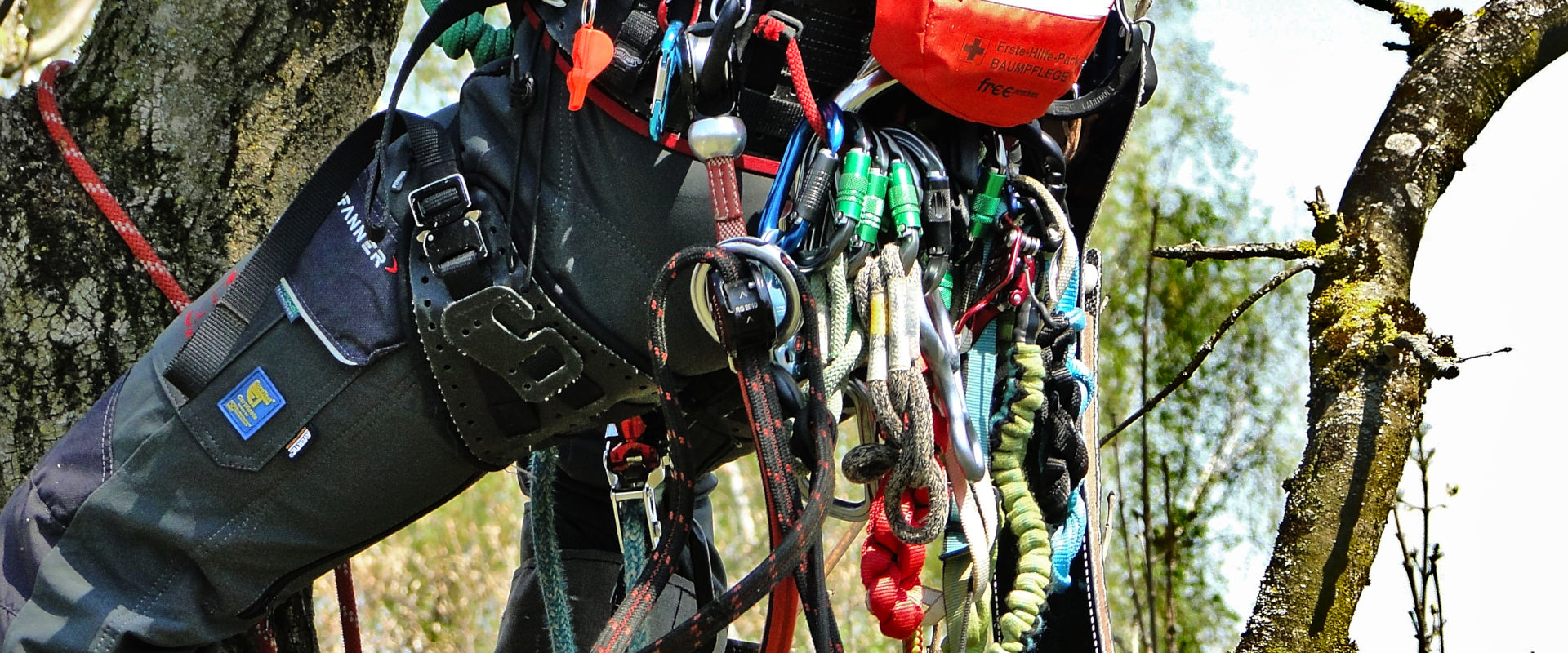 Freeworker Blog » Carabiners for tree care, tree climbing and rigging