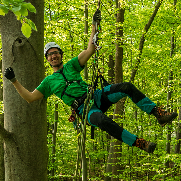 Thomas im Baum