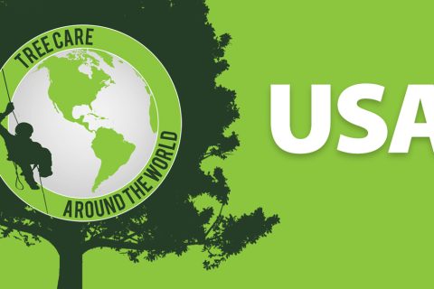 Permalink to: Baumpflege around the World: USA