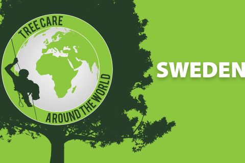 Permalink zu:Baumpflege around the World: Schweden