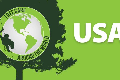Permalink zu:Baumpflege around the World: USA